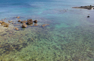 Sea-water-in-Ortigia